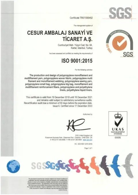 ISO 9001